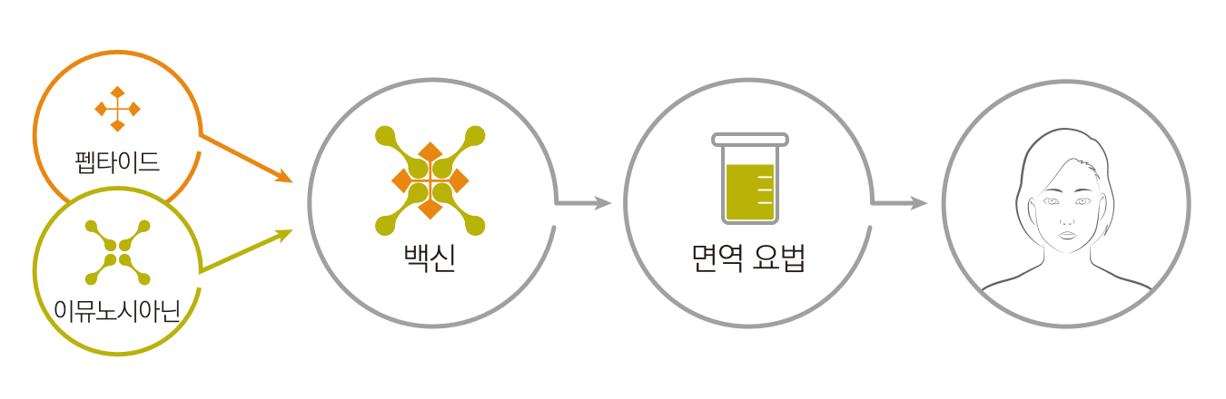 백신 운반단백질