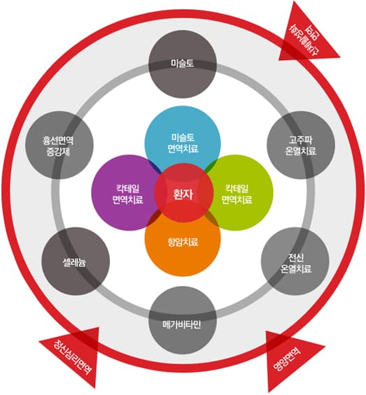 치료 시스템 개요