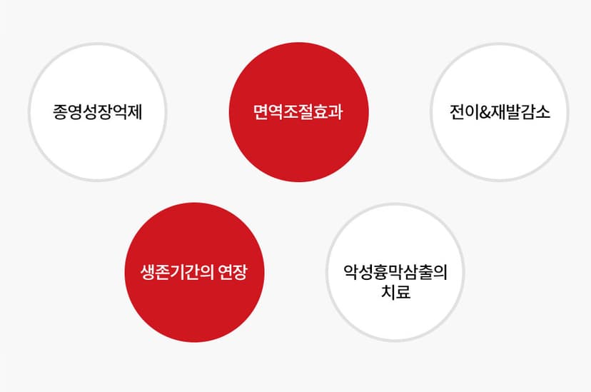 효과적인 종양치료 모바일