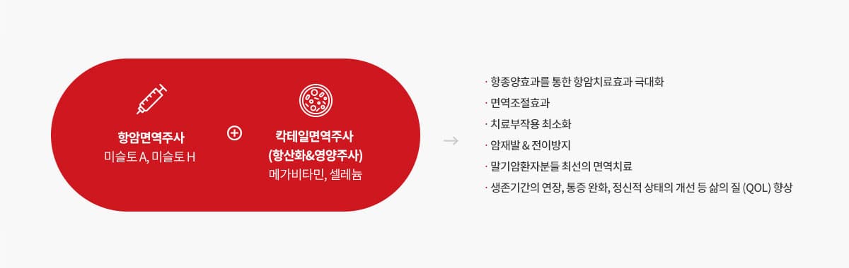 면역치료 시스템