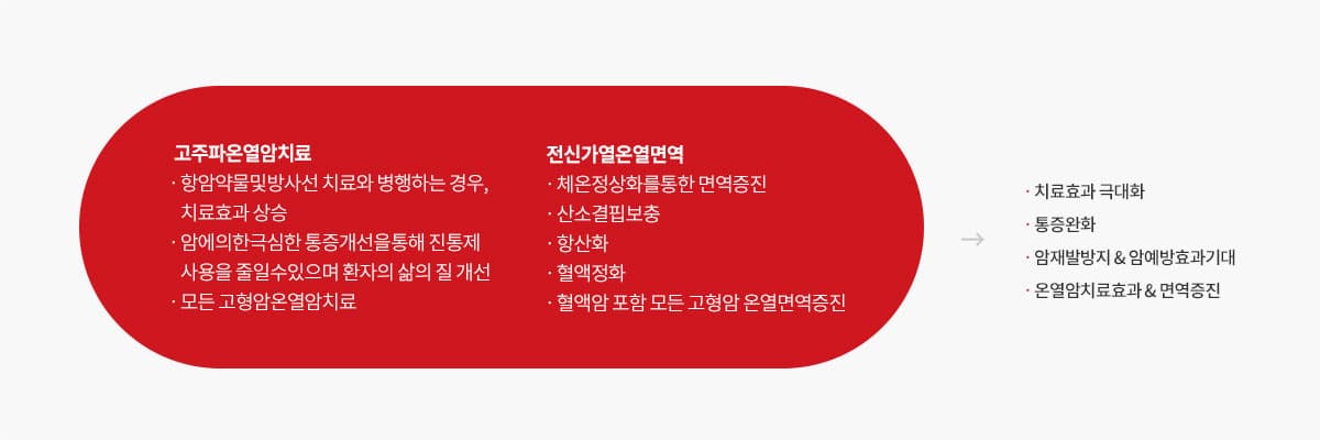 온열면역시스템