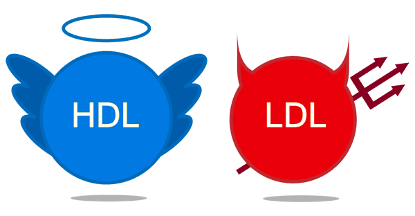 콜레스테롤 설명 이미지