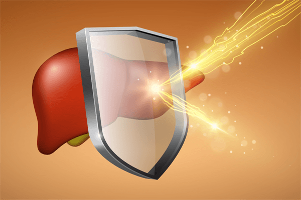 간의 역할 이미지